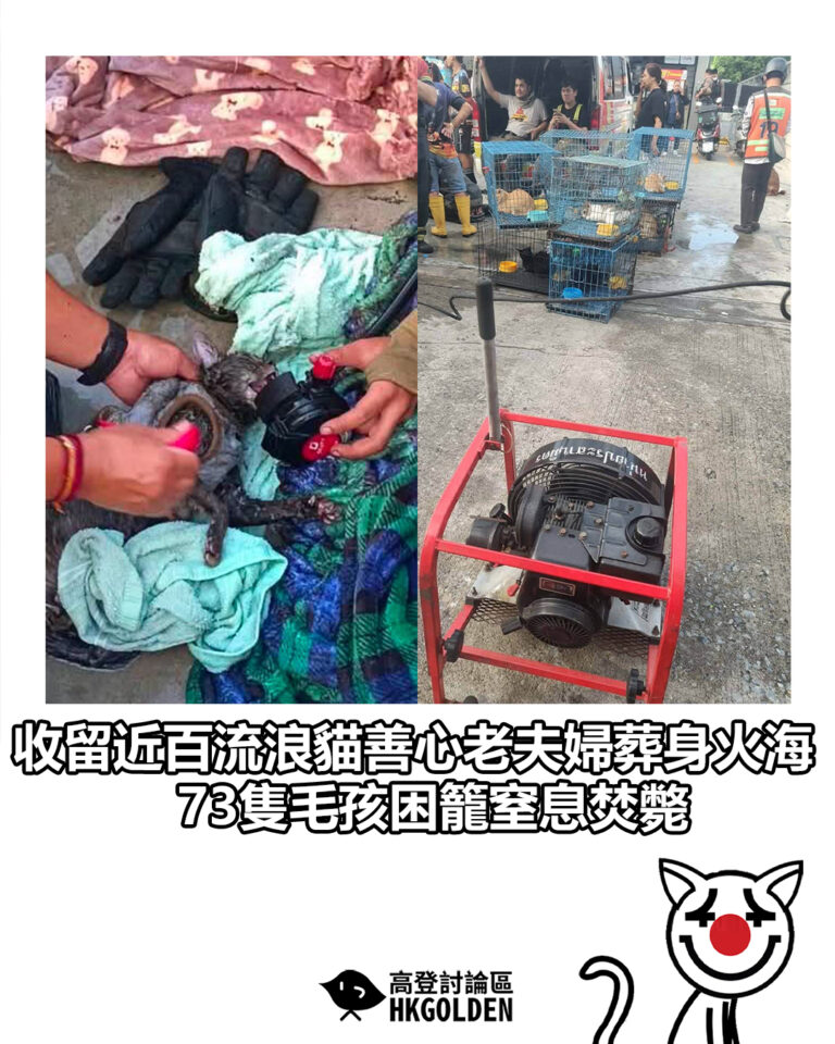 【收留近百流浪貓善心老夫婦葬身火海 73隻毛孩困籠窒息焚斃】 【收留近百流浪貓善心老夫婦葬身火海 73隻毛孩困籠窒息焚斃】