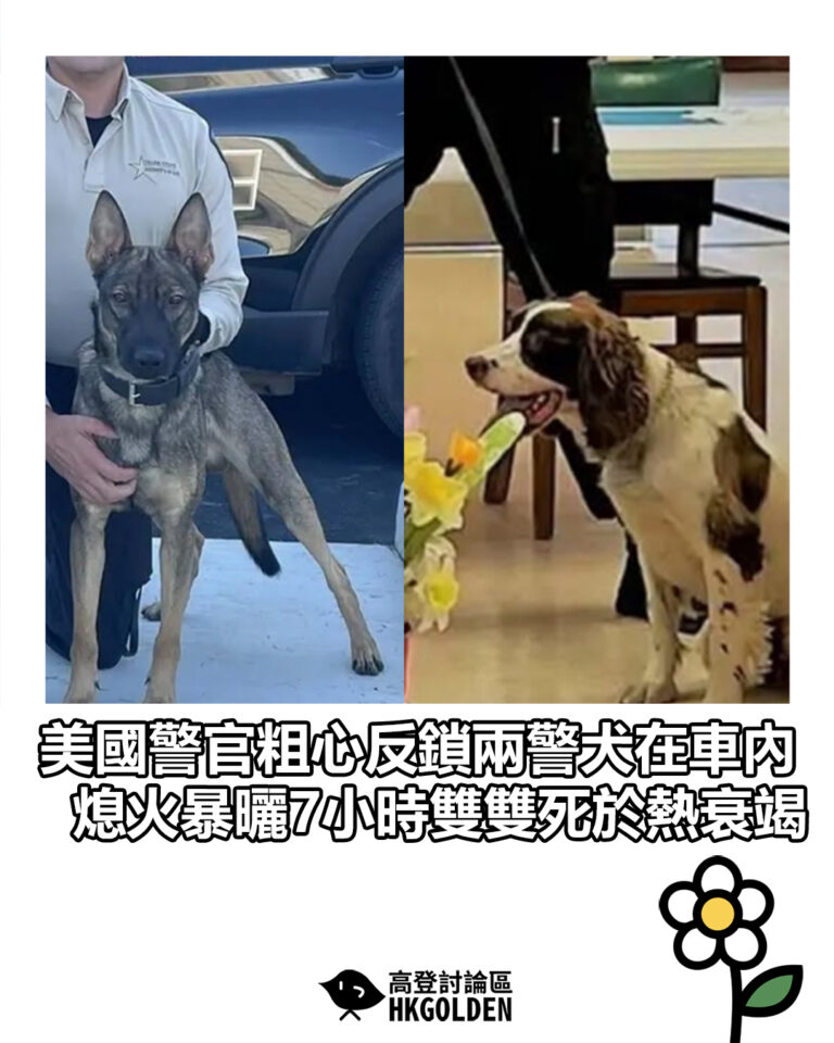 【美國警官粗心反鎖兩警犬在車內 熄火暴曬7小時雙雙死於熱衰竭】 【美國警官粗心反鎖兩警犬在車內 熄火暴曬7小時雙雙死於熱衰竭】