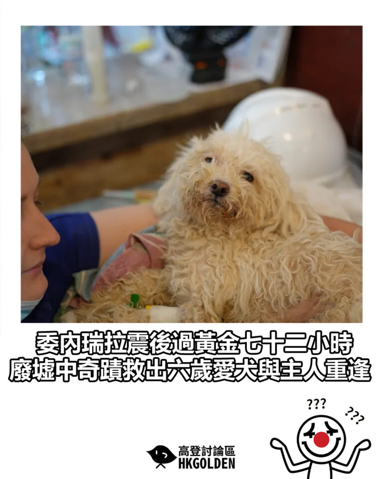 【委內瑞拉震後過黃金七十二小時 廢墟中奇蹟救出六歲愛犬與主人重逢】