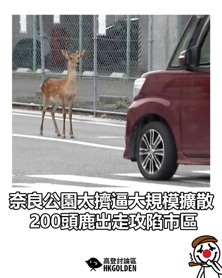 【奈良公園太擠逼大規模擴散 200頭鹿出走攻陷市區】