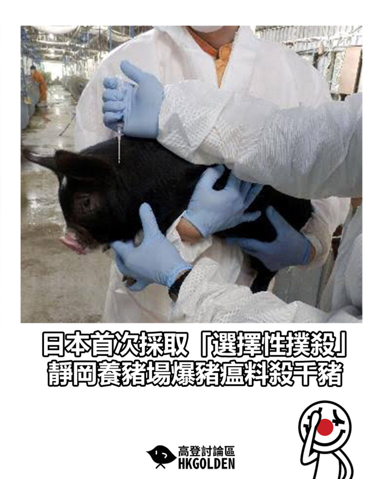 【日本首次採取「選擇性撲殺」 靜岡養豬場爆豬瘟料殺千豬】