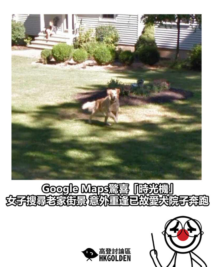 rfdehgdsgsdgs