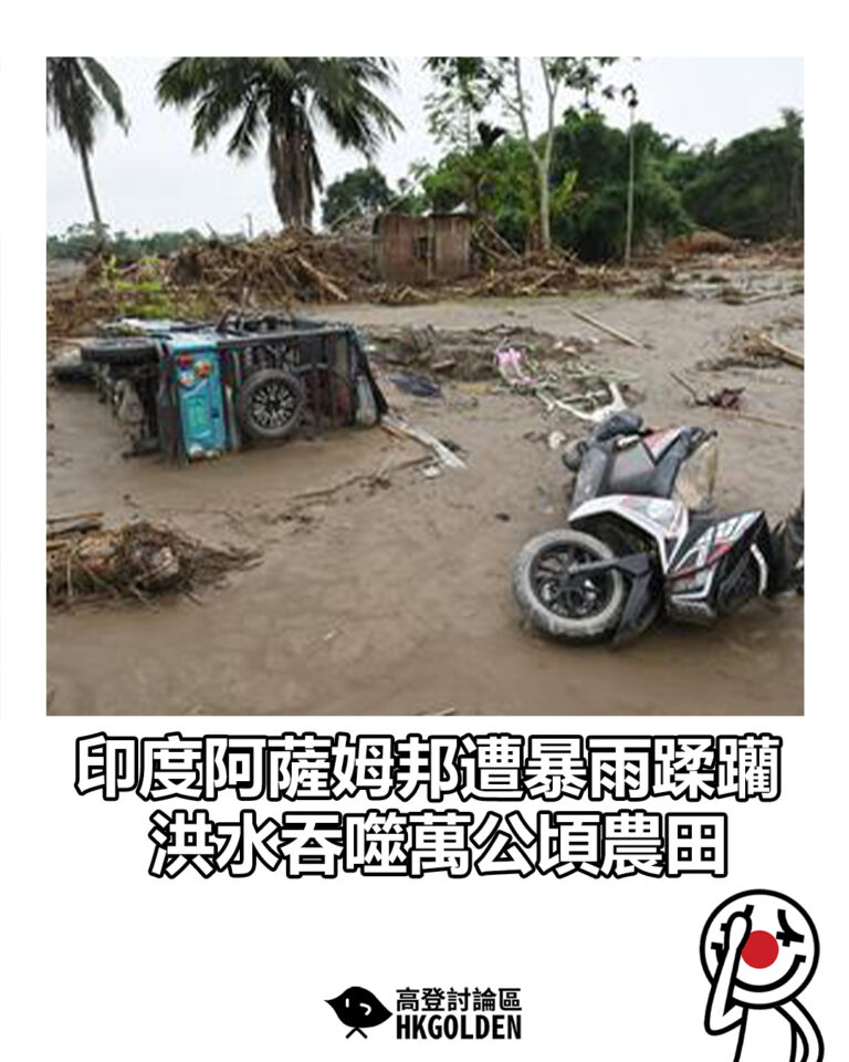 【印度阿薩姆邦遭暴雨蹂躪 洪水吞噬萬公頃農田】