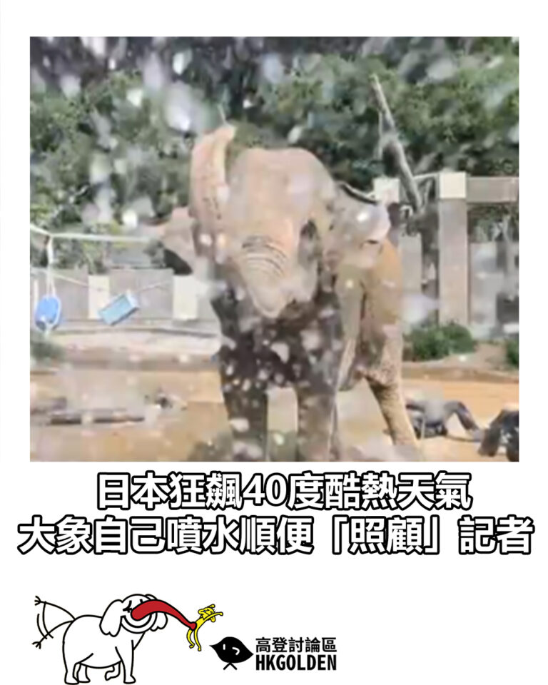 【日本狂飆40度酷熱天氣 大象自己噴水順便「照顧」記者】