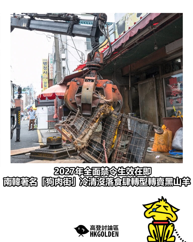 【2027年全面禁令生效在即 南韓著名「狗肉街」冷清沒落 食肆轉型轉賣黑山羊】