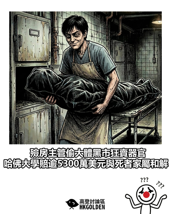 dsgsdgsdg