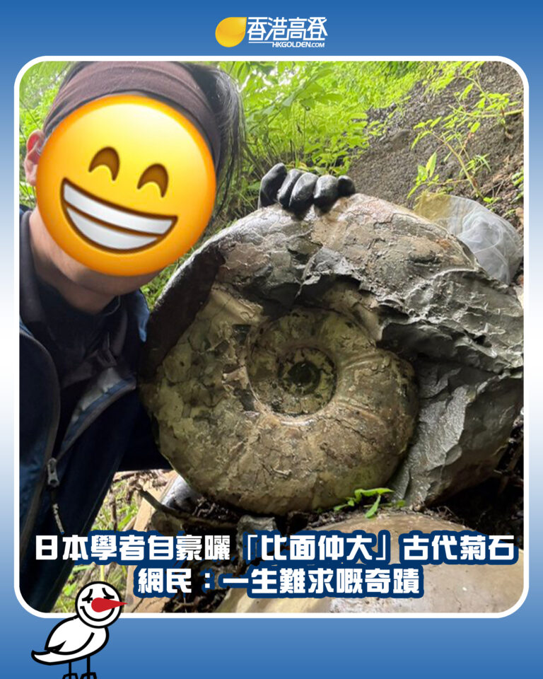 【日本學者自豪曬「比面仲大」古代菊石 網民：一生難求嘅奇蹟】