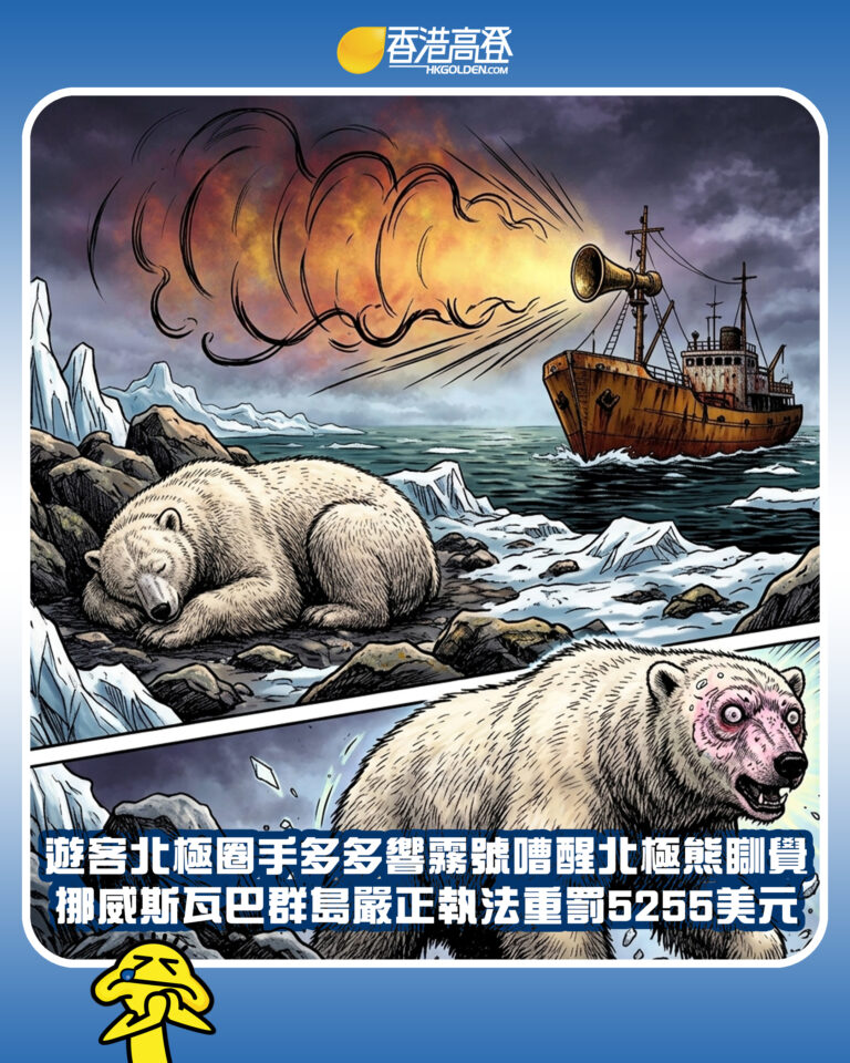 【遊客北極圈手多多響霧號嘈醒北極熊瞓覺  挪威斯瓦巴群島嚴正執法重罰5255美元】