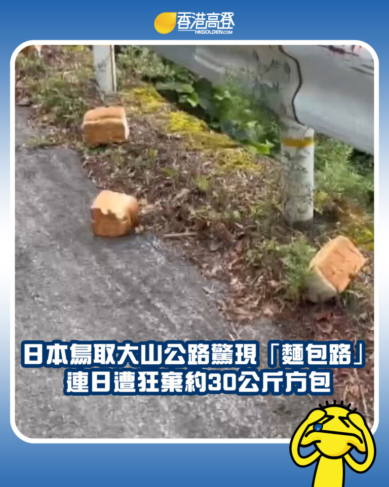 【日本鳥取大山公路驚現「麵包路」連日遭狂棄約30公斤方包】