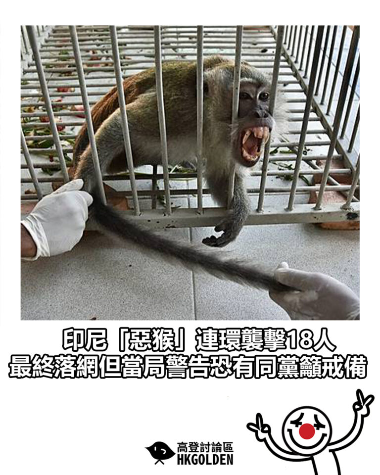 【印尼「惡猴」連環襲擊18人  最終落網但當局警告恐有同黨籲戒備】