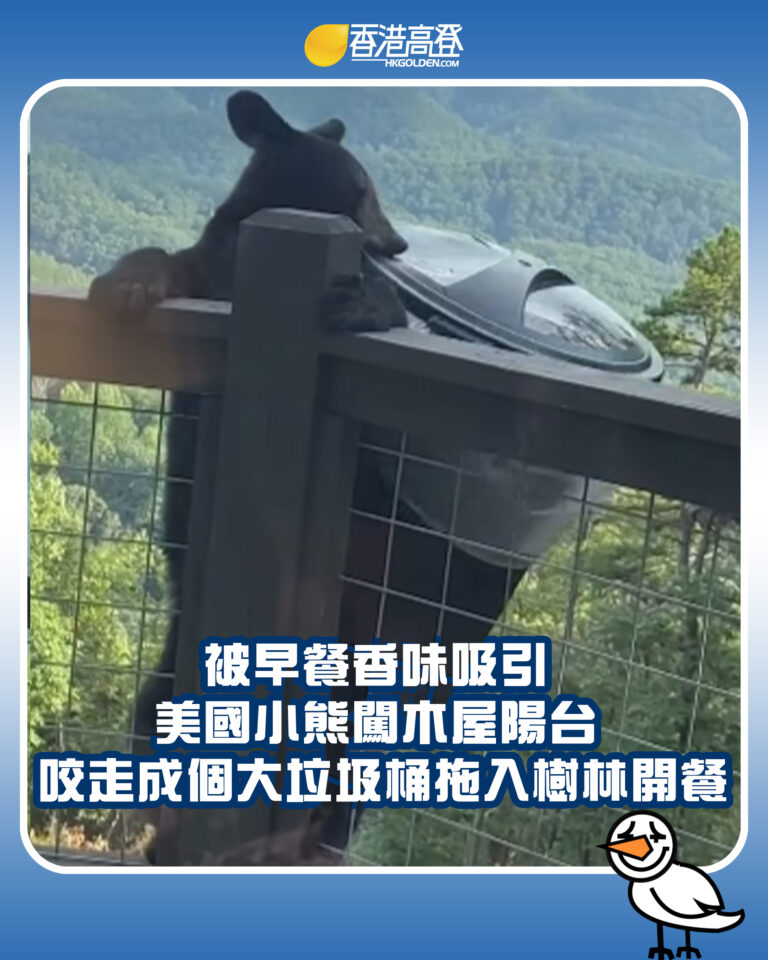 【被早餐香味吸引 美國小熊闖木屋陽台 咬走成個大垃圾桶拖入樹林開餐】