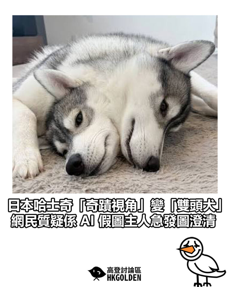 【日本哈士奇「奇蹟視角」變「雙頭犬」 網民質疑係 AI 假圖主人急發圖澄清】