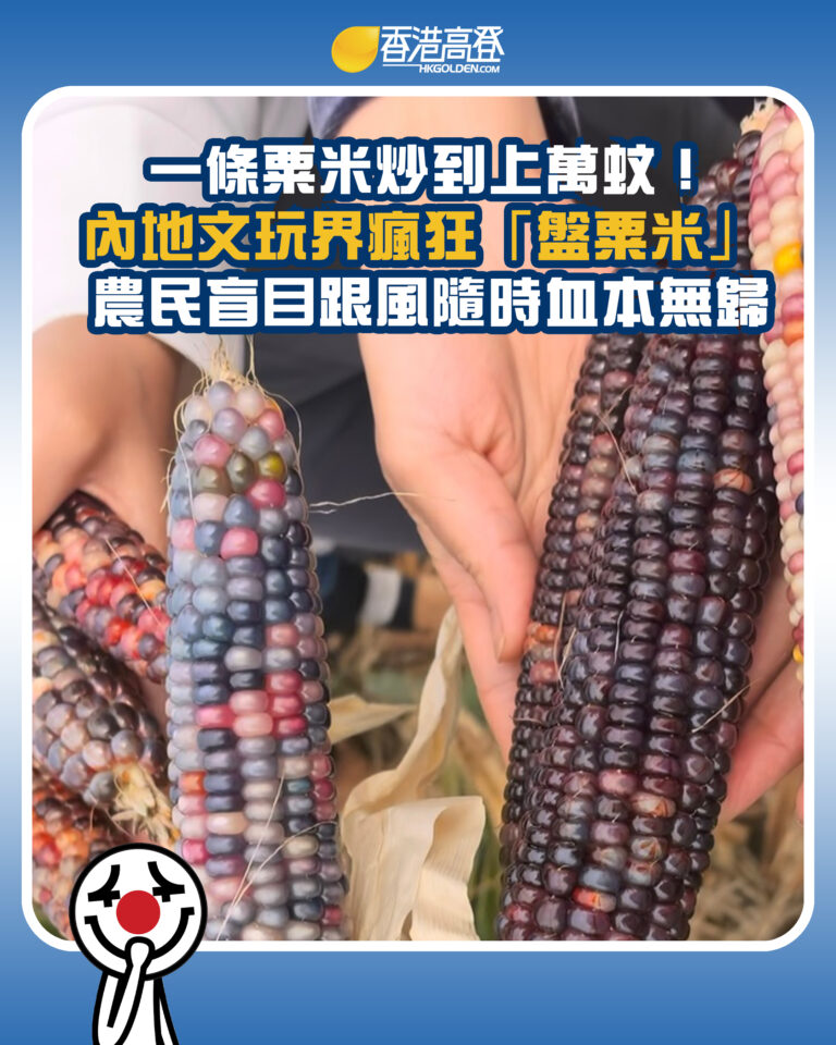 【一條粟米炒到上萬蚊！內地文玩界瘋狂「盤粟米」 農民盲目跟風隨時血本無歸】