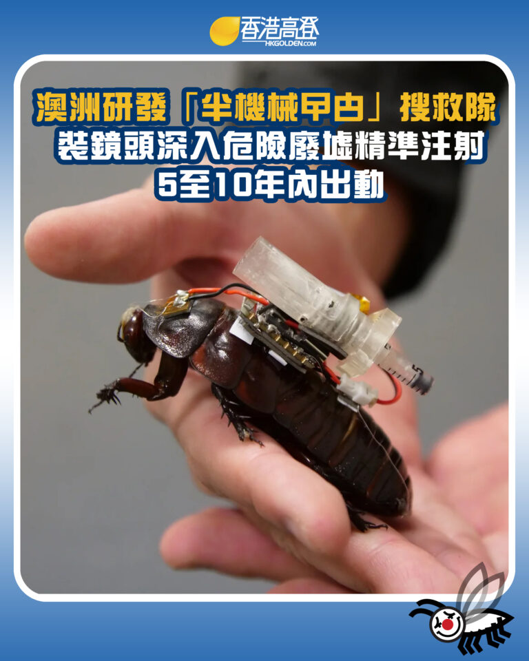 【澳洲研發「半機械曱甴」搜救隊 裝鏡頭深入危險廢墟精準注射 5至10年內出動】