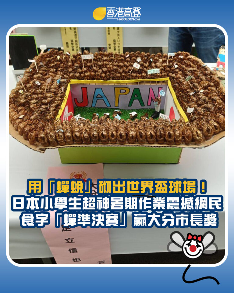 【用「蟬蛻」砌出世界盃球場！日本小學生超神暑期作業震撼網民 食字「蟬準決賽」贏大分市長獎】