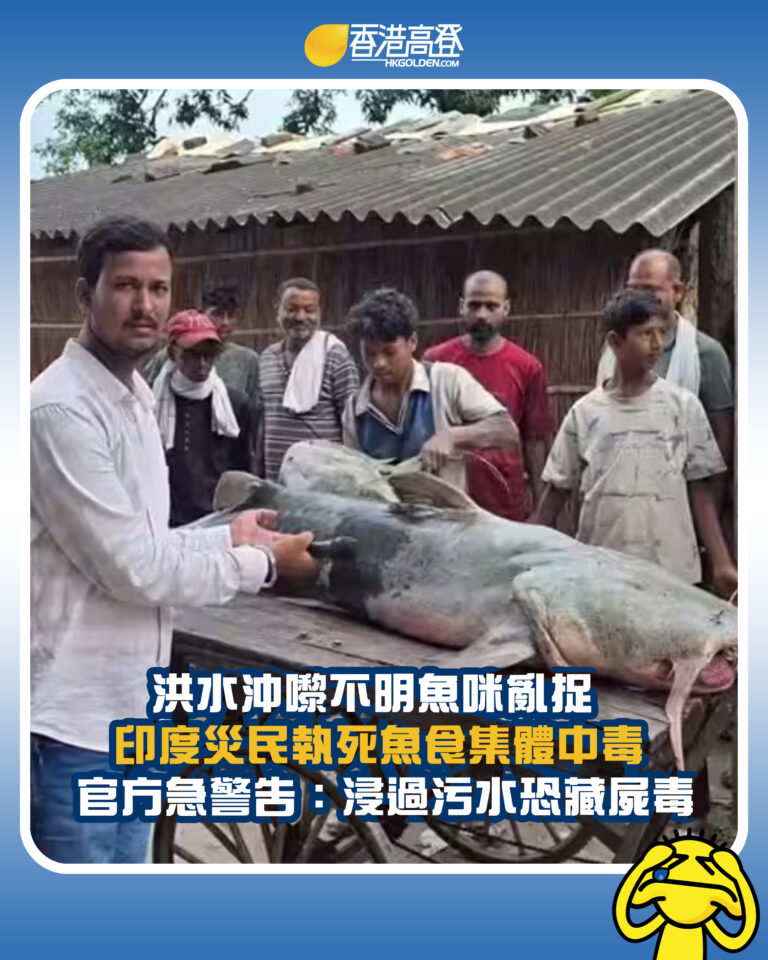 【洪水沖嚟不明魚咪亂捉  印度災民執死魚食集體中毒 官方急警告：浸過污水恐藏屍毒】