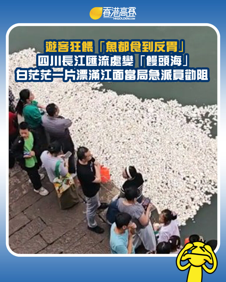 【遊客狂餵「魚都食到反胃」 四川長江匯流處變「饅頭海」 白茫茫一片漂滿江面當局急派員勸阻】 【遊客狂餵「魚都食到反胃」 四川長江匯流處變「饅頭海」 白茫茫一片漂滿江面當局急派員勸阻】