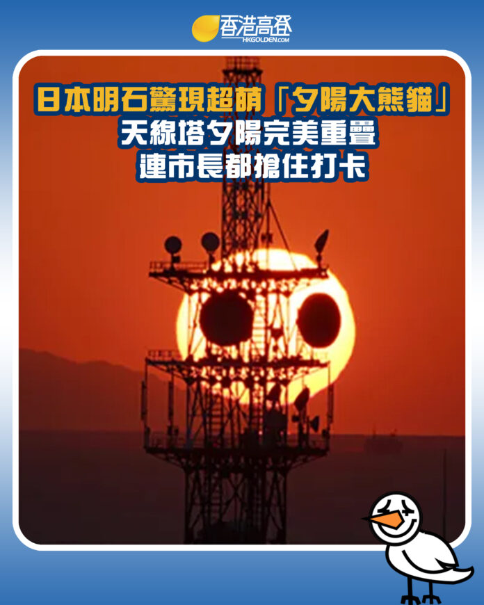 sdgsgas