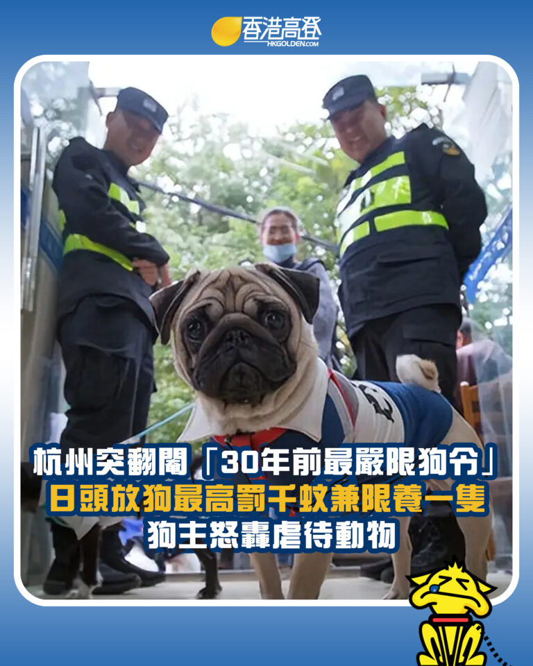 【杭州突翻閹「30年前最嚴限狗令」日頭放狗最高罰千蚊兼限養一隻 狗主怒轟虐待動物】 【杭州突翻閹「30年前最嚴限狗令」日頭放狗最高罰千蚊兼限養一隻 狗主怒轟虐待動物】